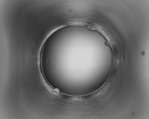 X0000097981195200803241252