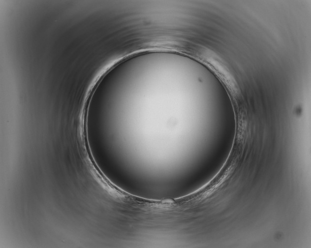 X0000097981196200803241252