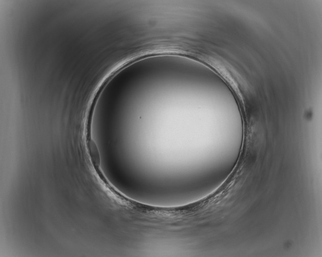 X0000097981197200803241252