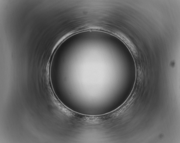 X0000097981198200803241252