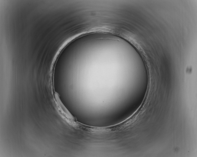 X0000097981200200803241252