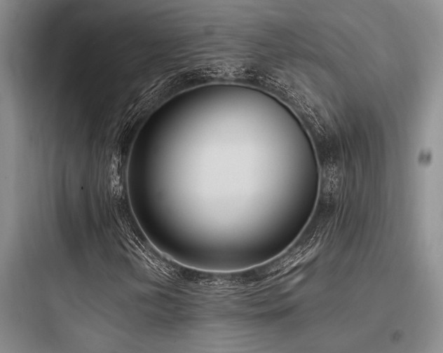 X0000097981202200803241251