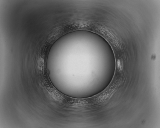 X0000097981203200803241251