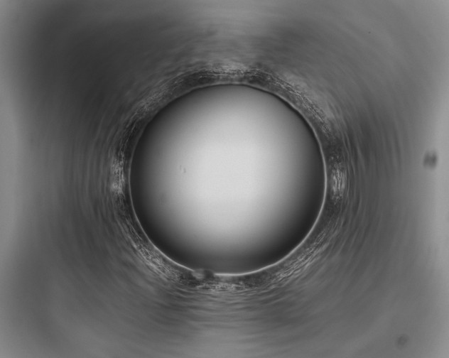 X0000097981204200803241251