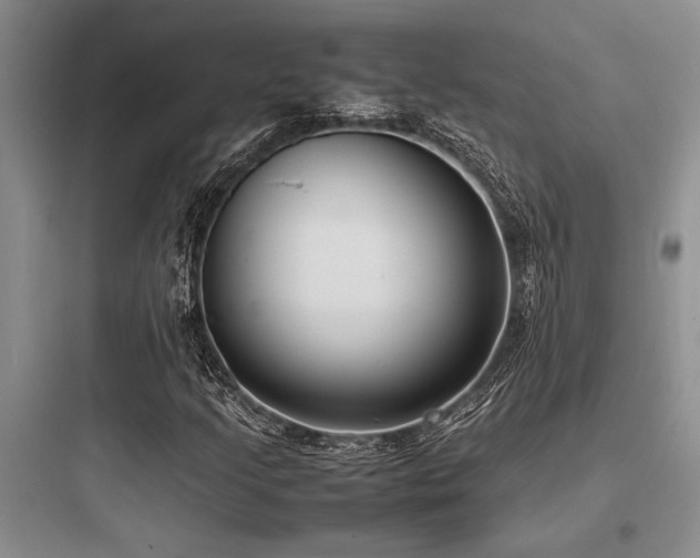 X0000097981205200803241251