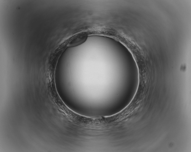 X0000097981206200803241251