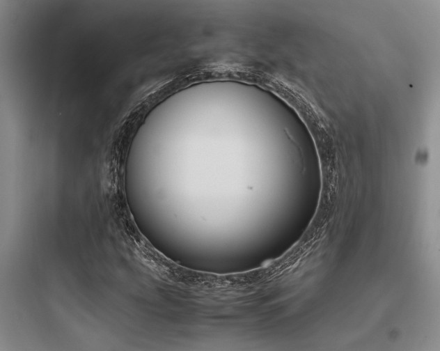 X0000097981207200803241251