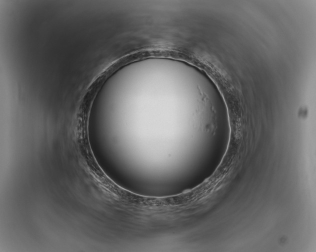 X0000097981208200803241251