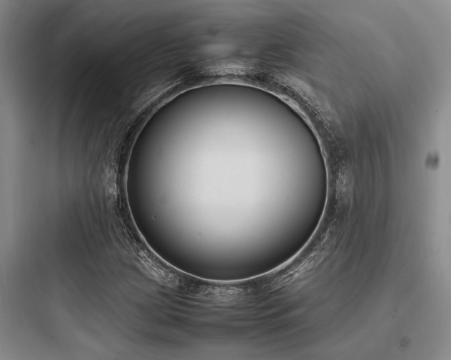 X0000097981209200803241251