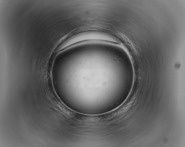 X0000097981210200803241251