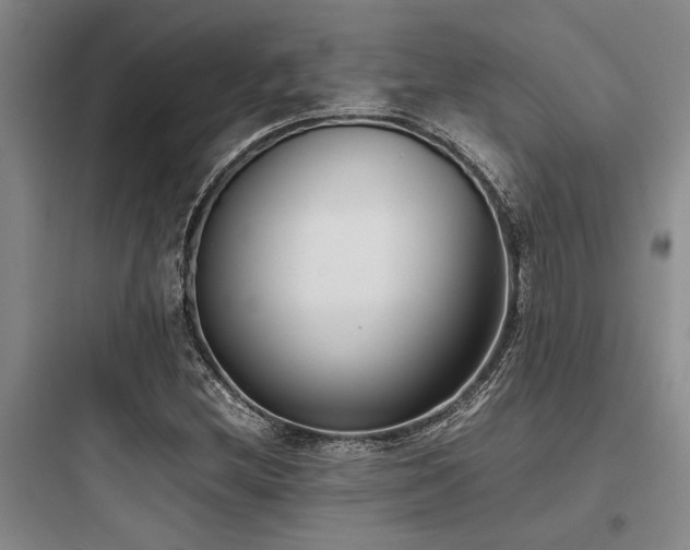 X0000097981212200803241251