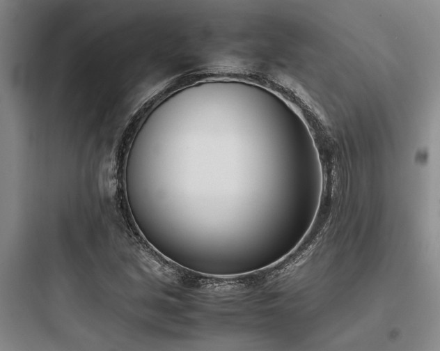X0000097981213200803241251