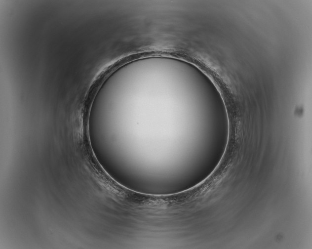 X0000097981214200803241251