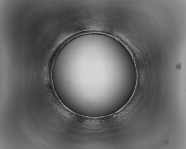 X0000097981215200803241251