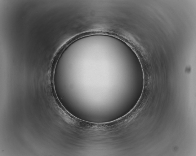 X0000097981216200803241251