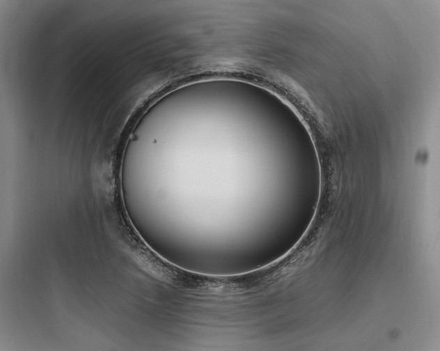 X0000097981218200803241251
