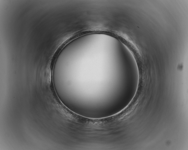 X0000097981221200803241251