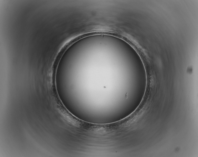 X0000097981222200803241251