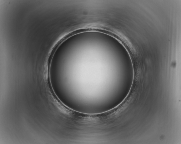 X0000097981224200803241251