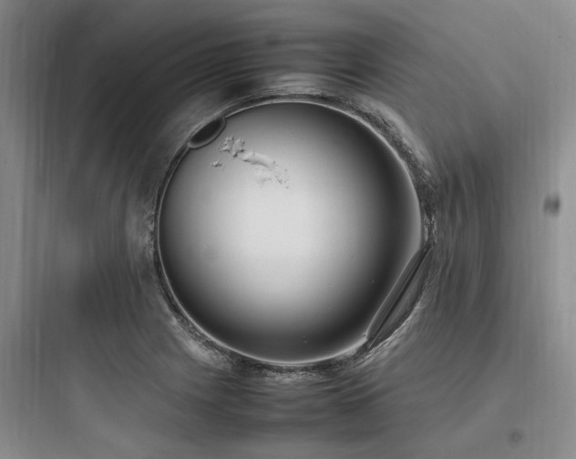 X0000097981225200803241251