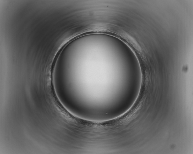 X0000097981226200803241251
