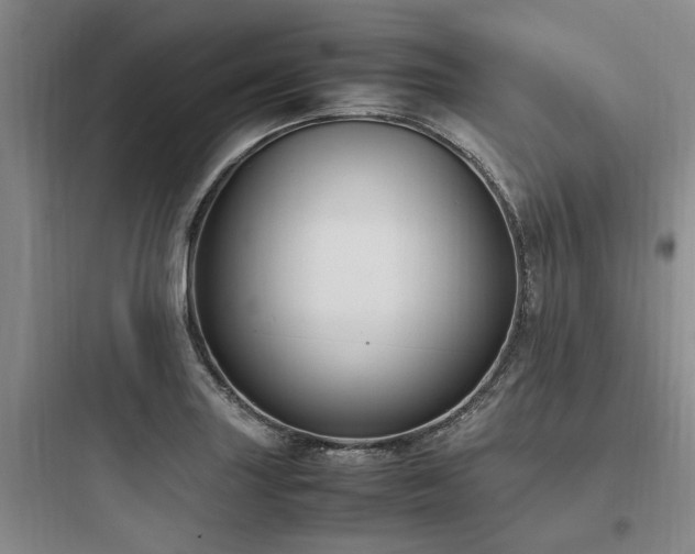 X0000097981227200803241251