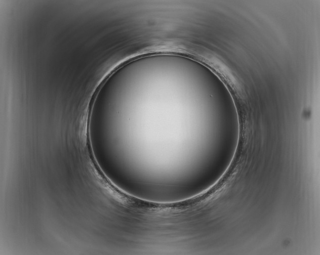 X0000097981228200803241251