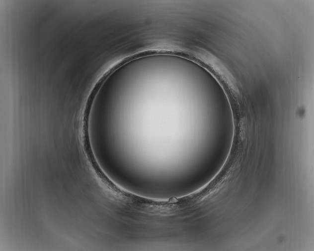 X0000097981229200803241251