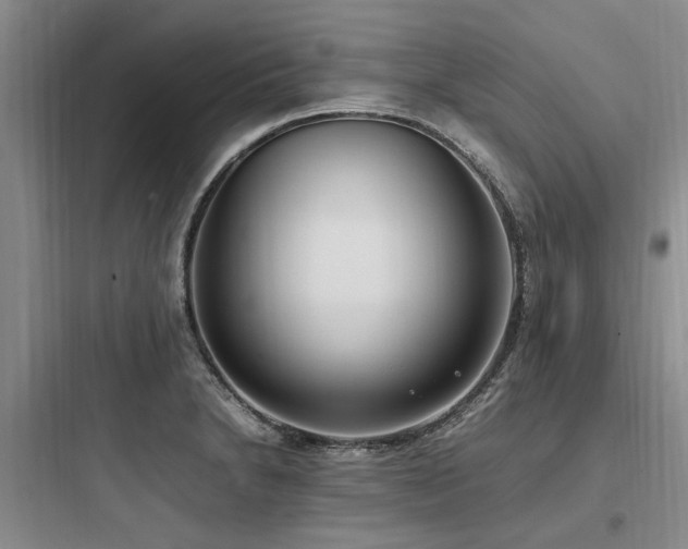 X0000097981230200803241251