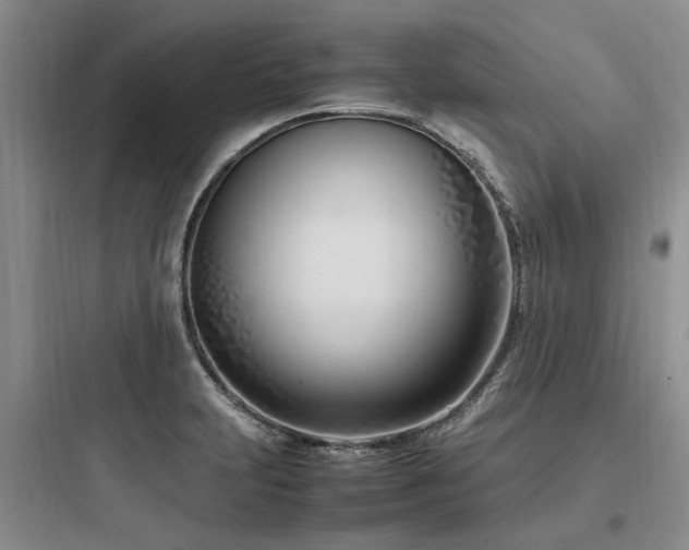 X0000097981231200803241251