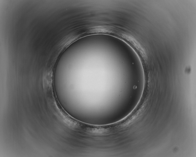 X0000097981233200803241251