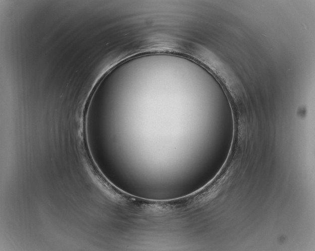 X0000097981234200803241251