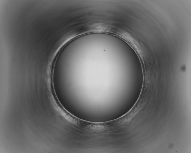 X0000097981235200803241251