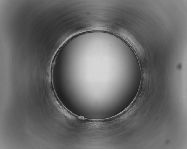 X0000097981236200803241251