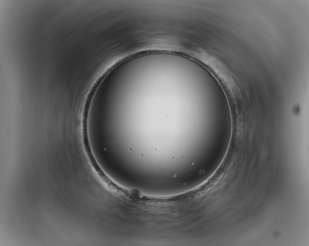 X0000097981237200803241251