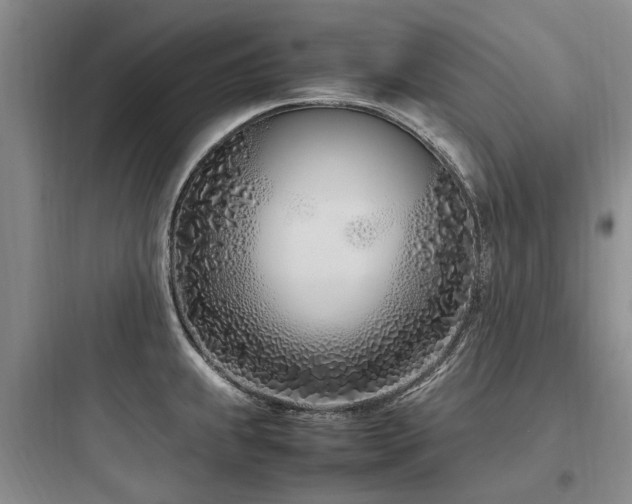 X0000097981239200803241252