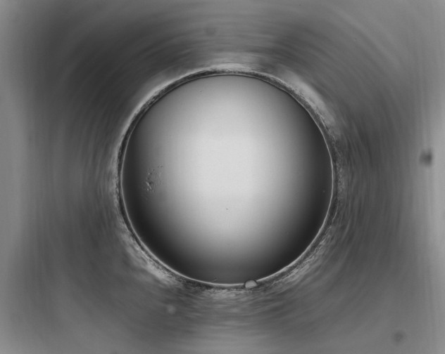 X0000097981240200803241252