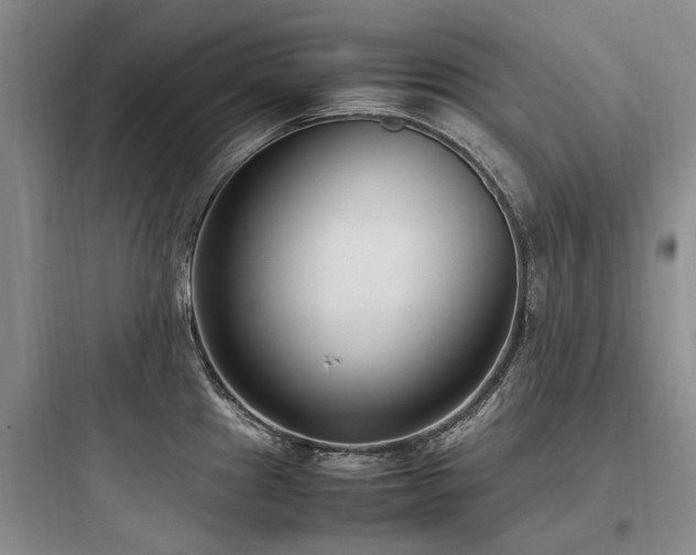 X0000097981241200803241252