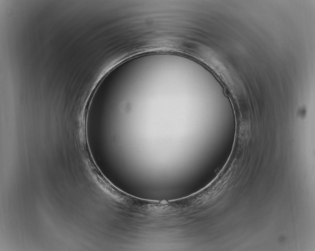 X0000097981242200803241252