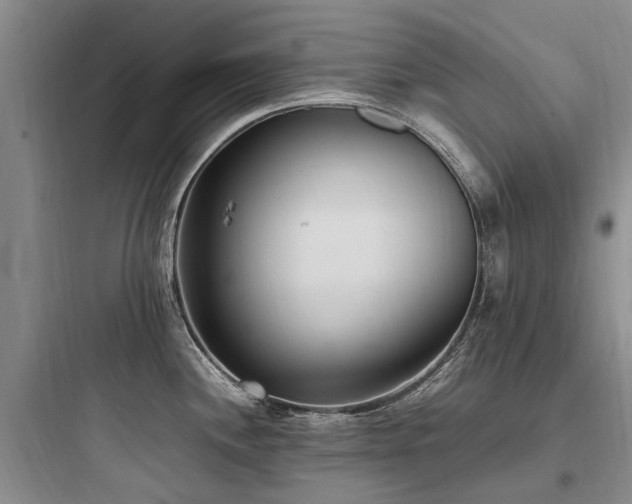 X0000097981244200803241252