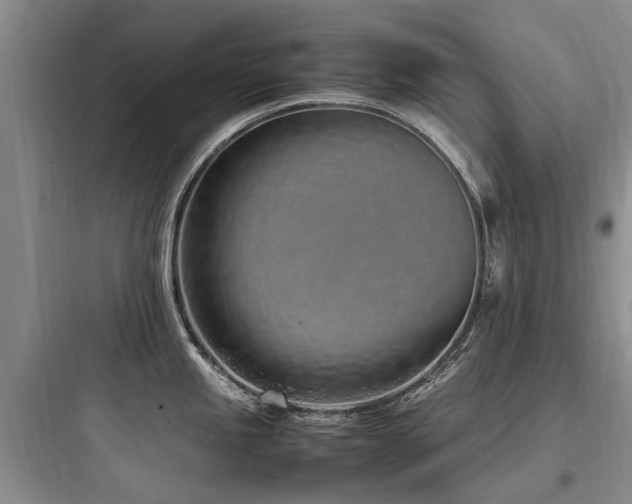 X0000097981245200803241252