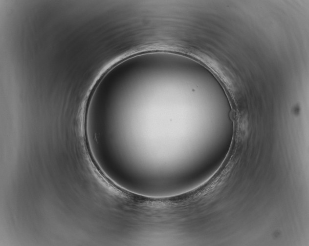 X0000097981246200803241252