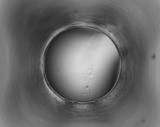 X0000097981247200803241252