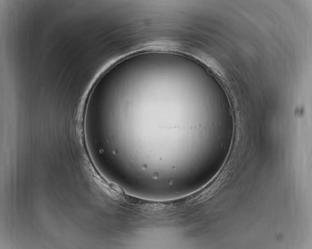 X0000097981248200803241252