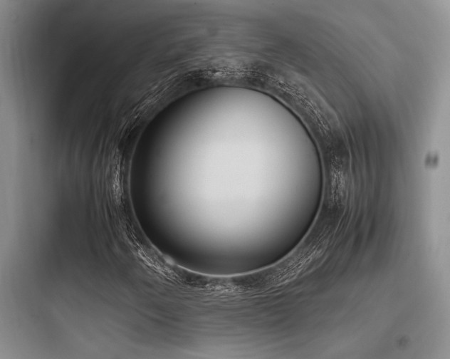 X0000097981250200803241251