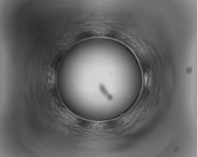 X0000097981251200803241251