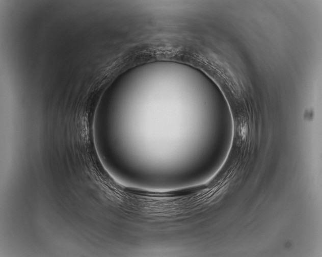 X0000097981252200803241251