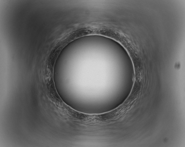 X0000097981253200803241251
