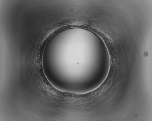 X0000097981256200803241251