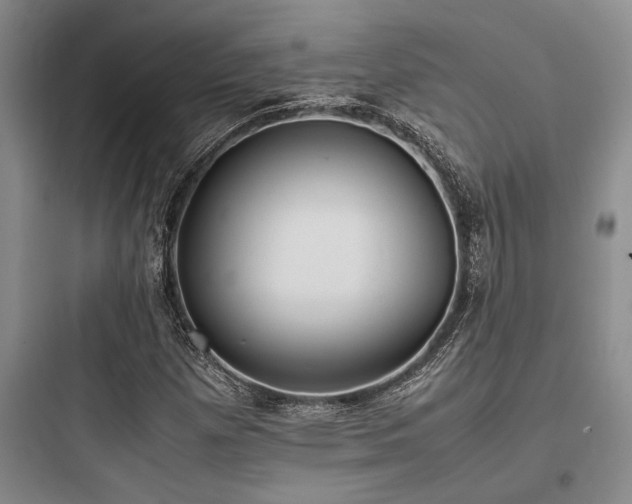 X0000097981257200803241251